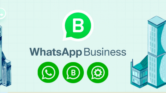 Conexión de WhatsApp™ Business API: ¿Cómo y por qué?